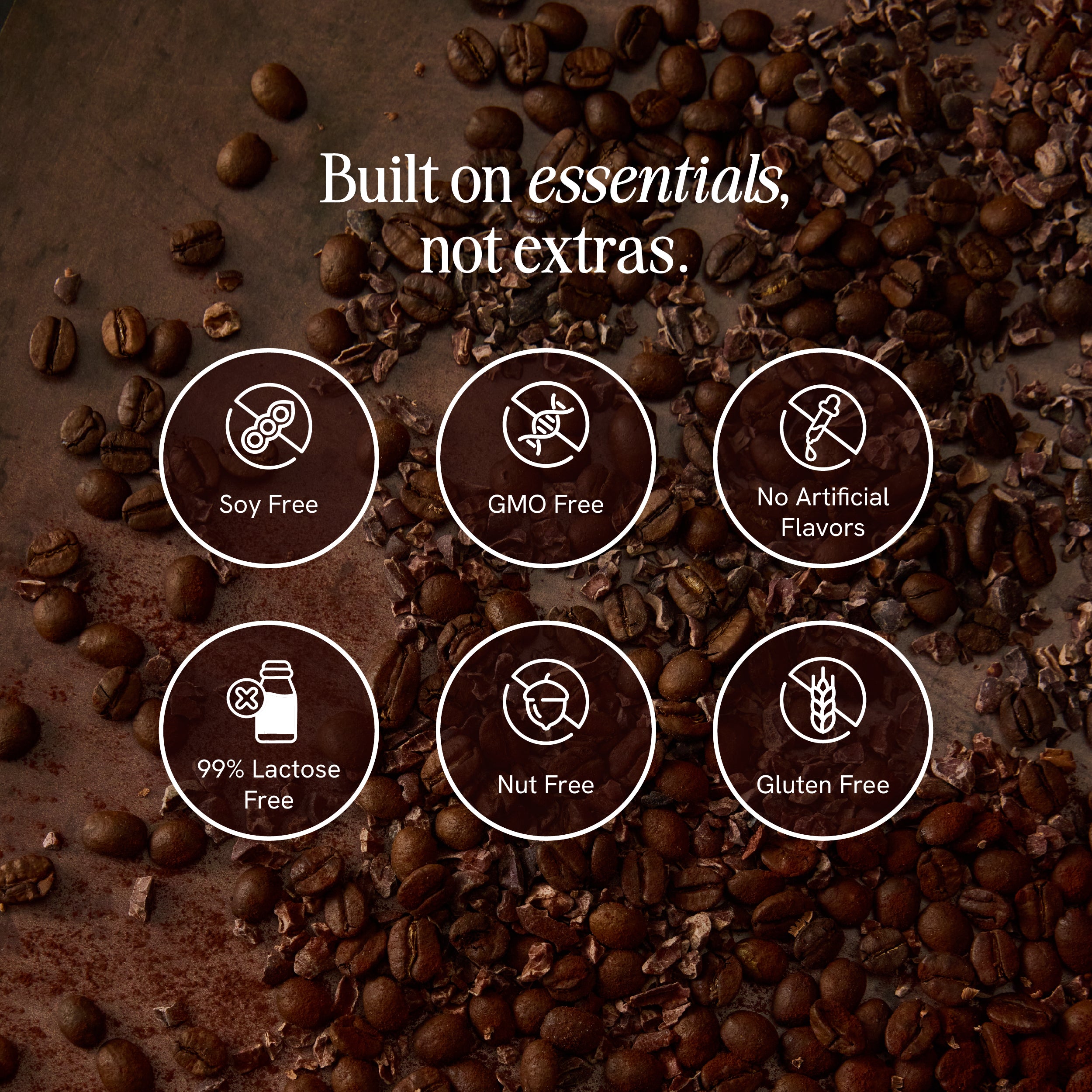 Mocha Cold Brew - 12 Pack