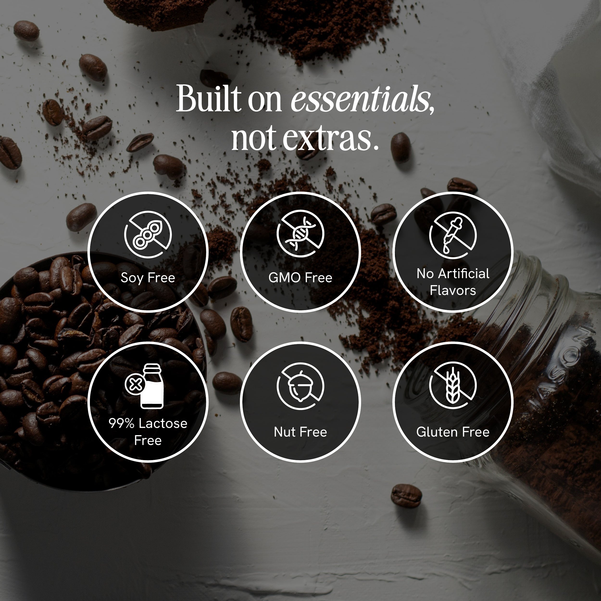 Original Cold Brew - 12 Pack